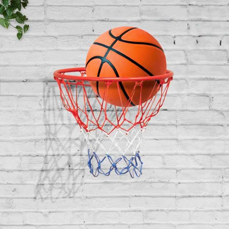 Arceau De But De Basket-ball Mural Portable De 45cm, Bord Et Filet
