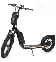 Trottinette électrique tout terrain XI-1400 - Noir - 12 Ah